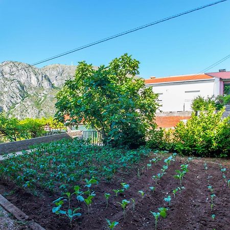 Apartments Fusion Mostar Dış mekan fotoğraf